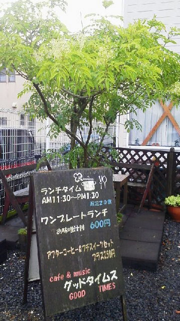 シマトネリコ シマトネリコ