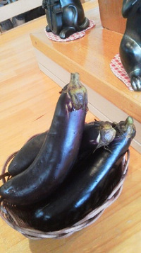 旬の野菜