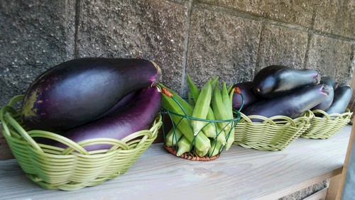 新鮮野菜の無人販売 新鮮野菜の無人販売