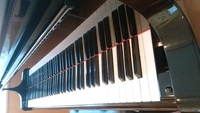 歌声のひととき