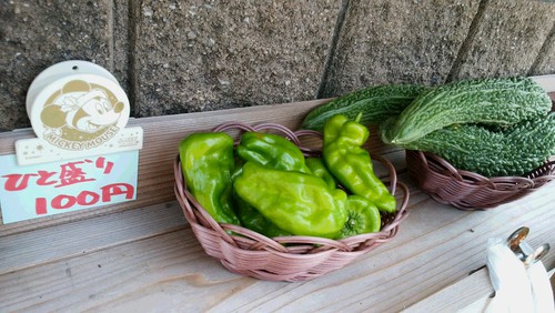 新鮮野菜の無人販売 新鮮野菜の無人販売