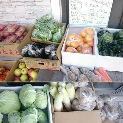 本日の野菜と果物