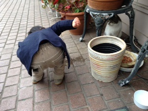 切干し大根とホタテのおつまみ。 切干し大根とホタテのおつまみ。