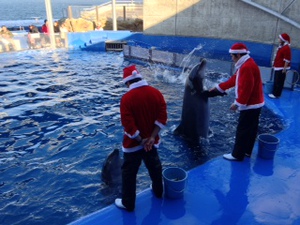 Xmasイブのひ。