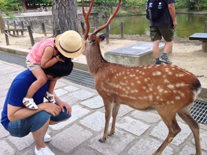奈良といえば。 奈良といえば。
