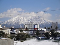 Happy New Year! 2011/01/01 21:02:34