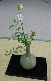 6月6日の茶道クラス