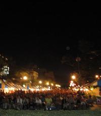 ここらで一花・・・ 2009/08/23 01:20:10
