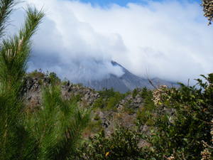 ボランティアガイド1/31 in Mt.Sakurajima