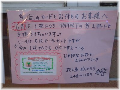 え?これも50円?祭り 開催中~