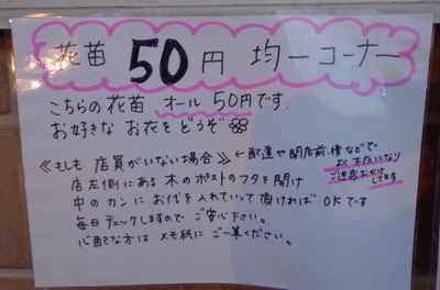 え?これも50円?祭り 開催中~