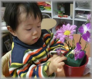 1歳10カ月のフラワーアーティスト