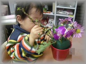 1歳10カ月のフラワーアーティスト