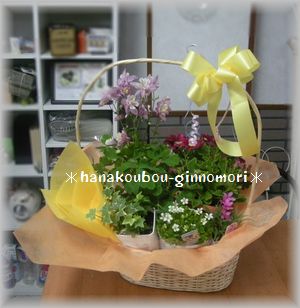 3000円小鉢のつめあわせ