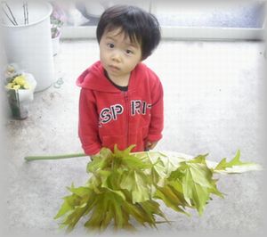 親のエゴ・・・