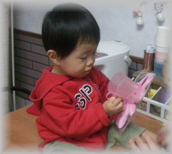 1歳11カ月の楽しみ方