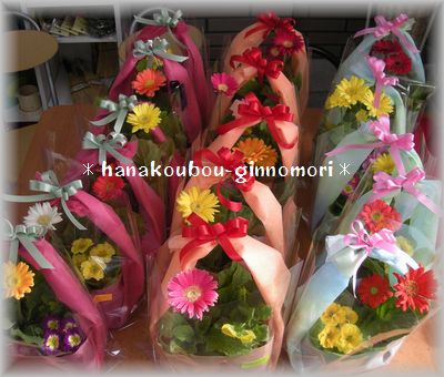 プリティな苗セットはいかが?
