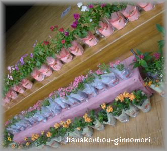 お花の苗でステージを華やかに・・・