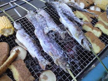 超希少なヤマメです!!