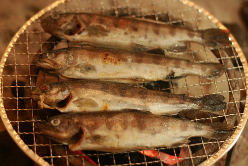 ヤマメが焼けた♪