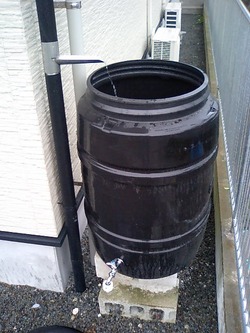 恵みの雨(≧▽≦)