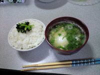 早朝家庭菜園♪
