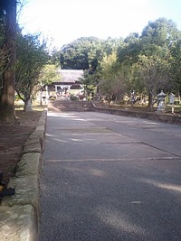 地域の奉仕作業。