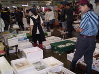 魚市場見学♪♪