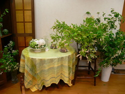 帰りました。