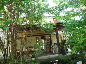 大分県　九重。