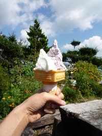 大分県　九重。