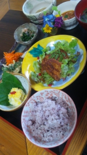 食膳はな。Lunch 。