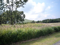 大分県　九重。