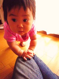 しその実。塩麹。