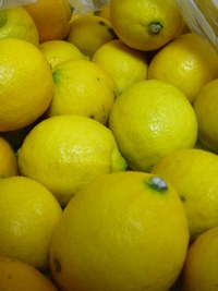 2/23（水）料理教室満席になりました。