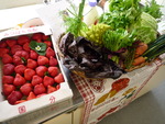 料理教室