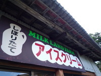 ワインと花とジェラートと。