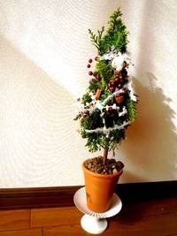 クリスマスツリー。カボチャパン。
