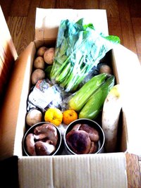 バーニャカウダ。野菜便。