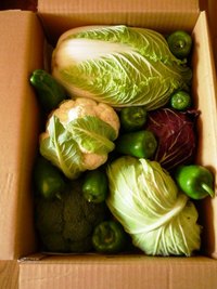 バーニャカウダ。野菜便。
