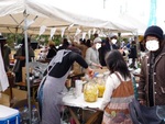 ｼﾌｫﾝ。Sugar Ginger。