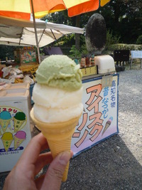 高知のたび。