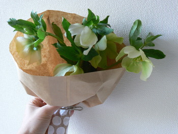 春のあしおと。