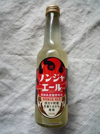 高知のたび。