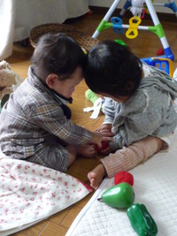 ティラミス。鹿児島から。