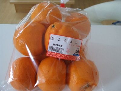 柑橘類