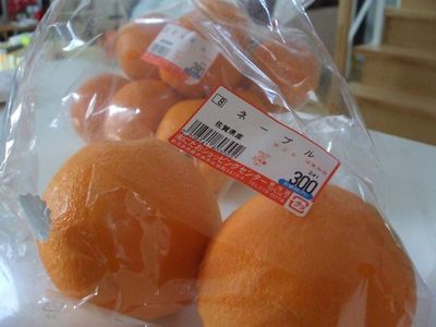 柑橘類