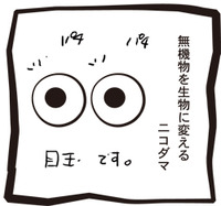ニコダマ