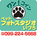 ペットフォトスタジオいづろ