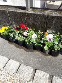 冬に向けて